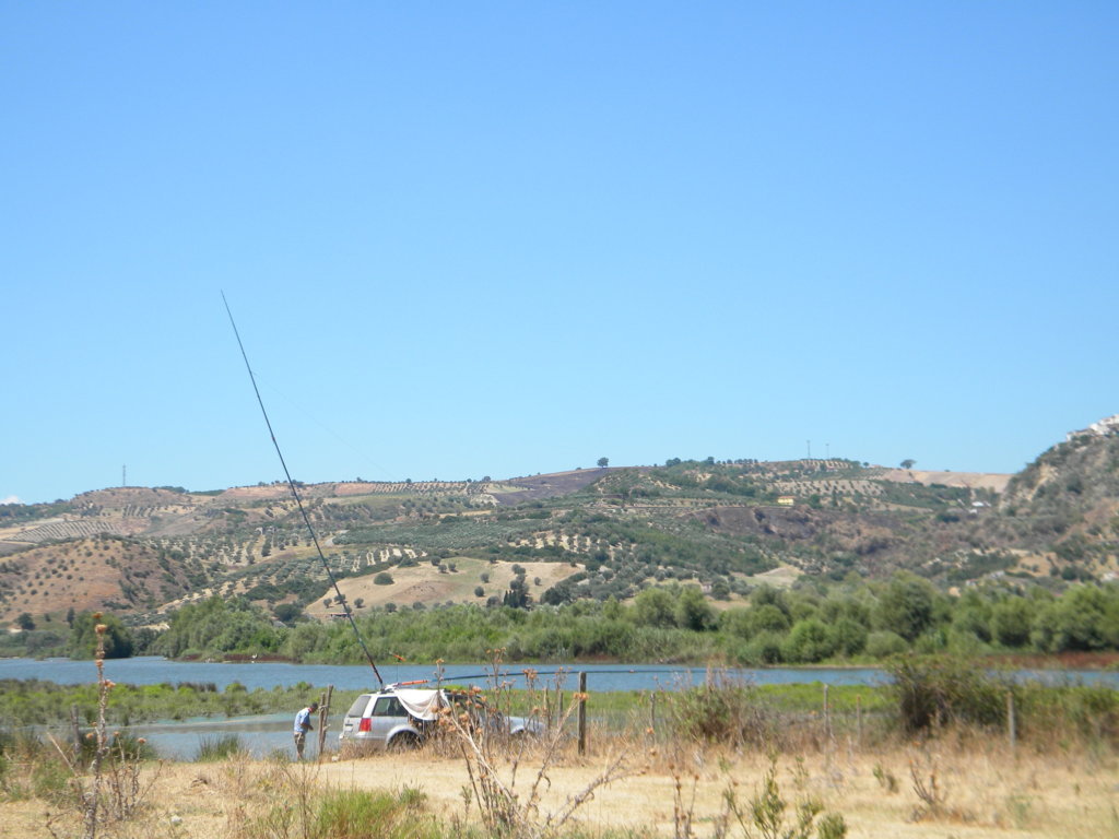 DSCN2595 .JPG